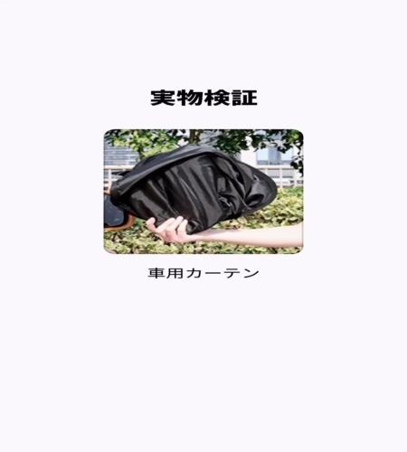 実物検証