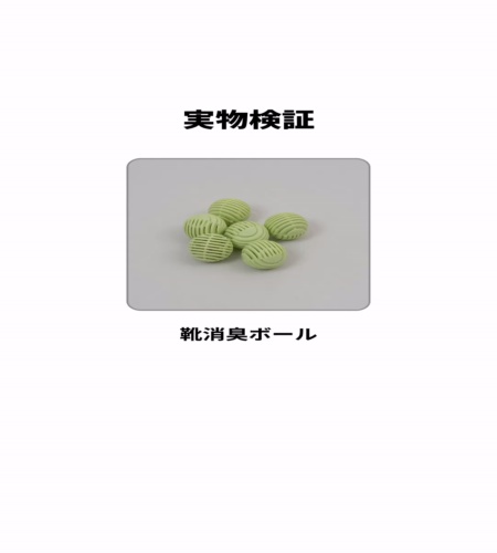 実物検証