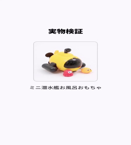 実物検証