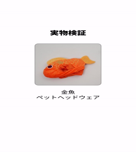 実物検証