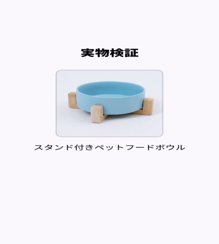 実物検証