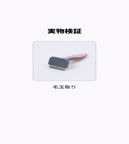 実物検証