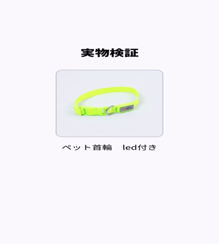 実物検証