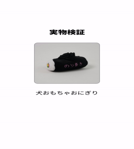 実物検証