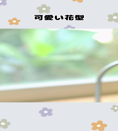 紹介動画