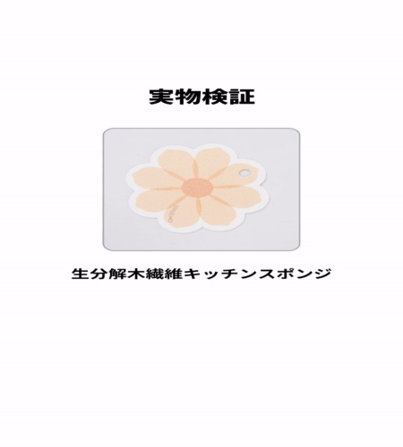 実物検証