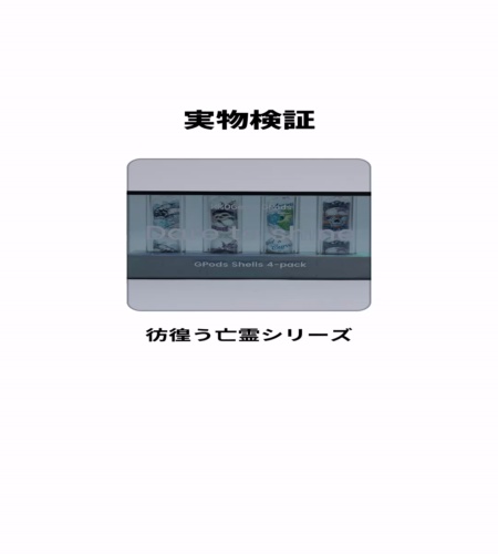実物検証