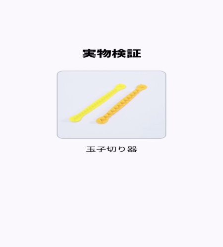 実物検証