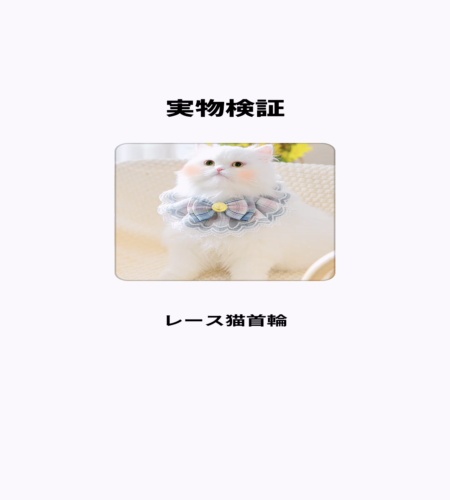 実物検証