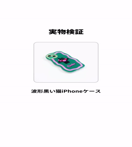実物検証