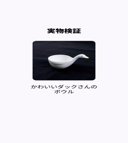 実物検証