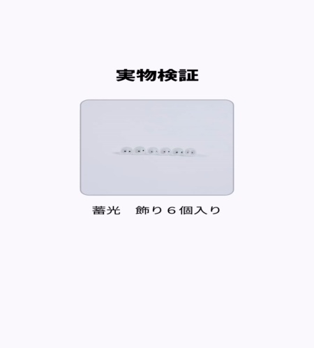 実物検証