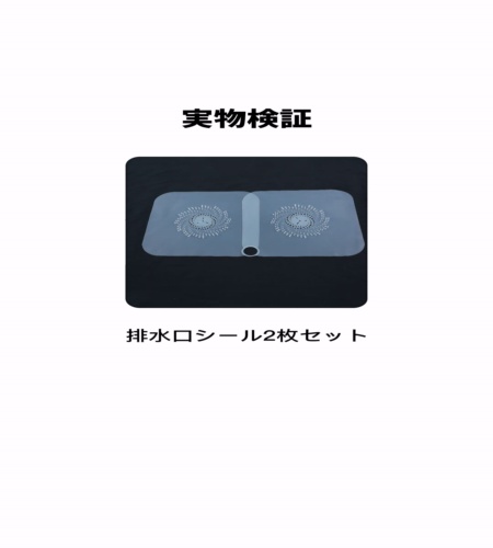 実物検証