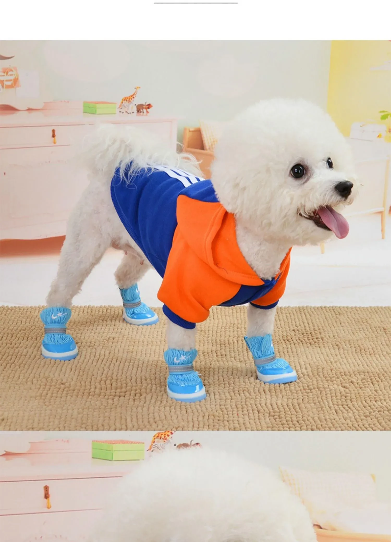 565698849335844864.png?x-oss-process=image/format,webp