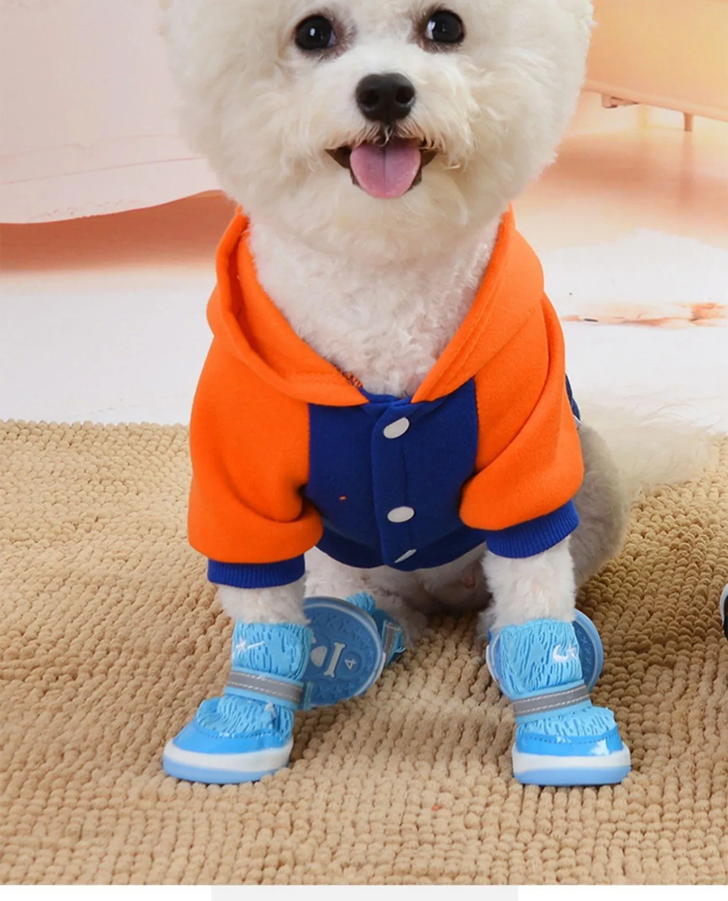 565698849822388224.png?x-oss-process=image/format,webp