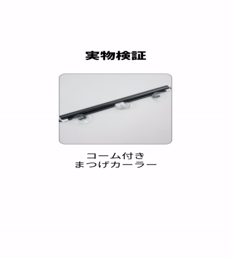 実物検証