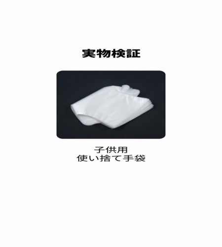 実物検証