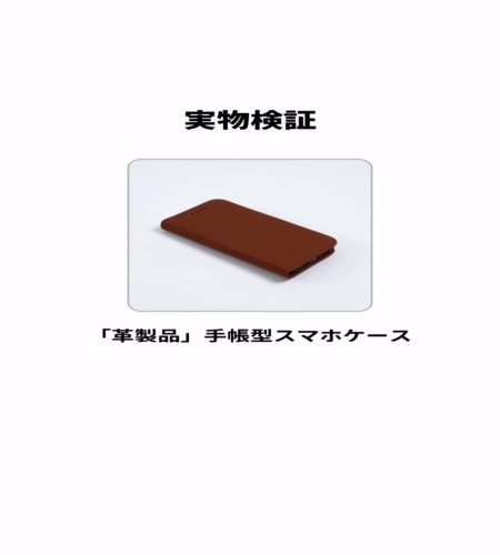 実物検証
