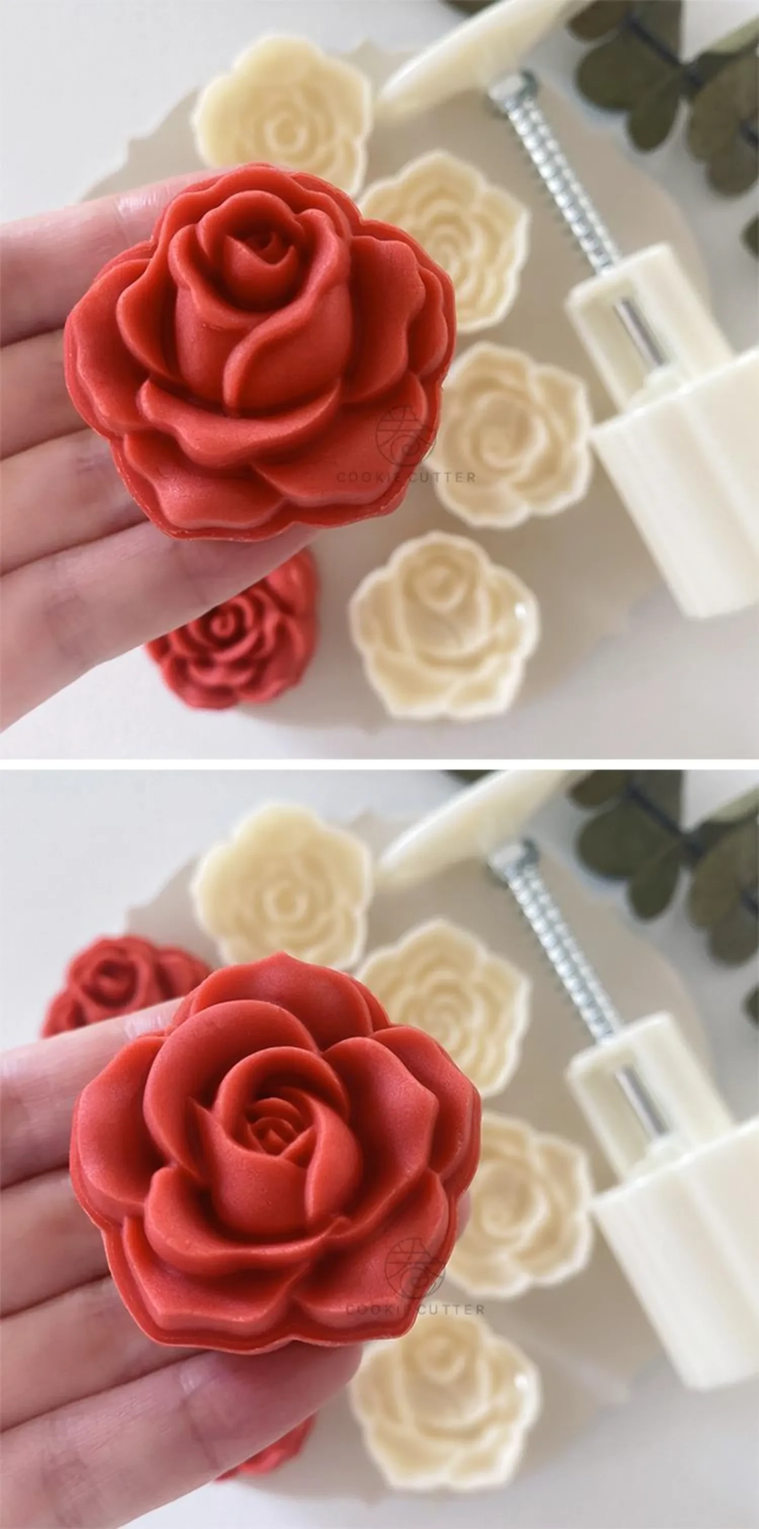 566773675609726976.png?x-oss-process=image/format,webp