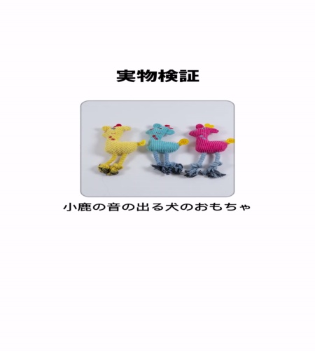 実物検証