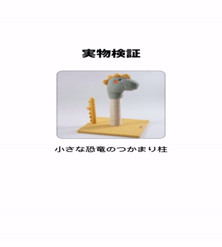 実物検証