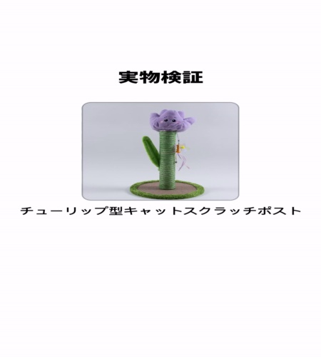 実物検証