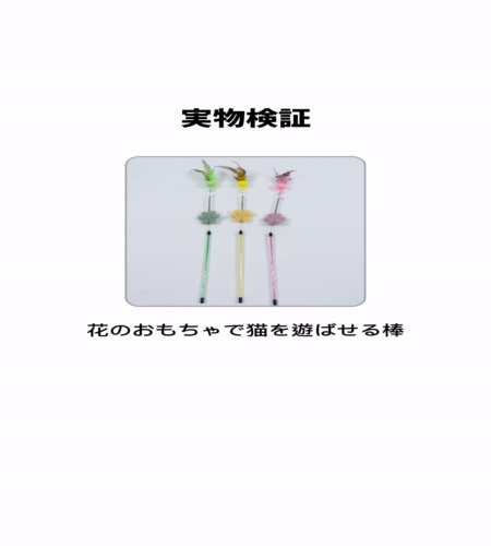 実物検証