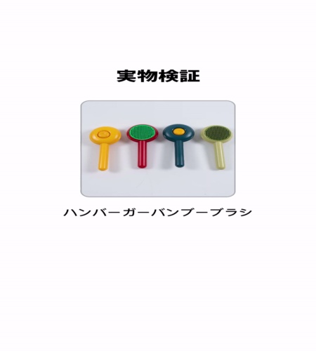 実物検証