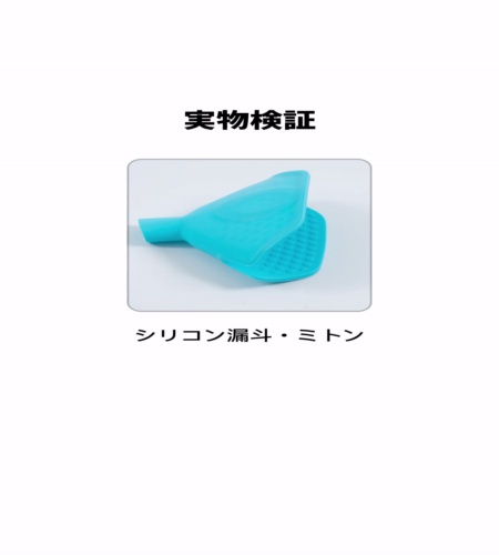 実物検証