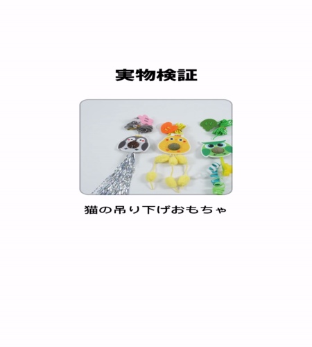 実物検証