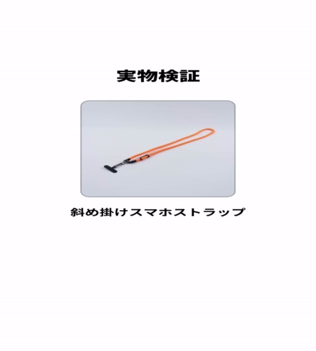 実物検証