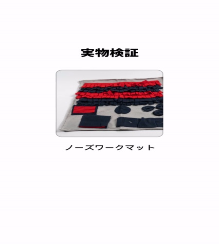 実物検証