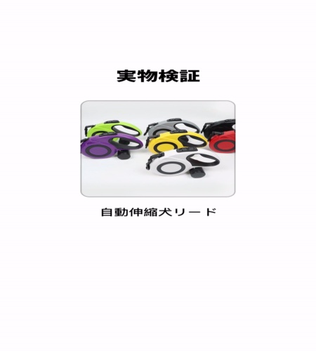 実物検証