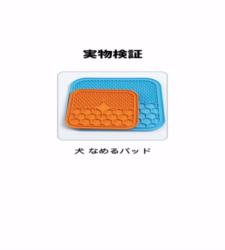 実物検証