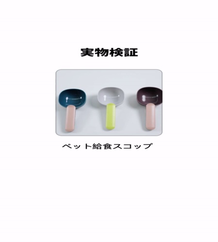 実物検証