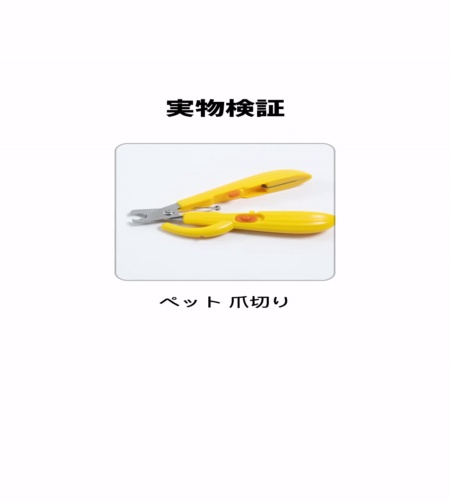 実物検証