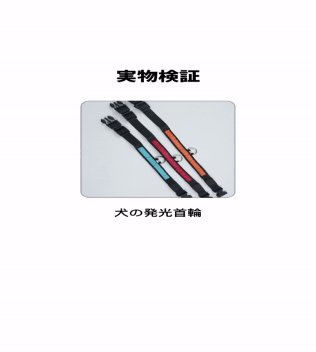 実物検証