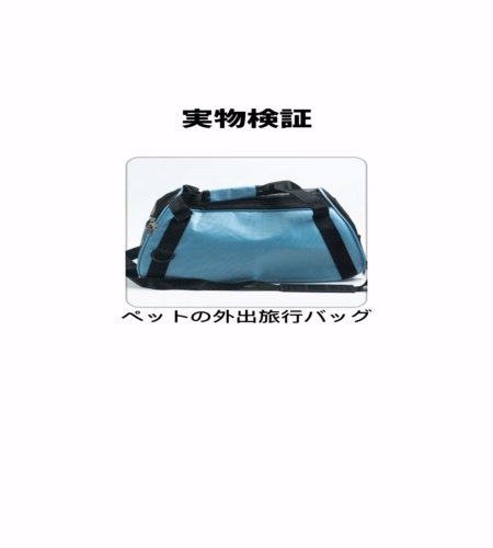実物検証