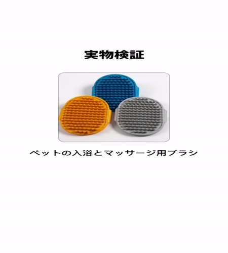 実物検証