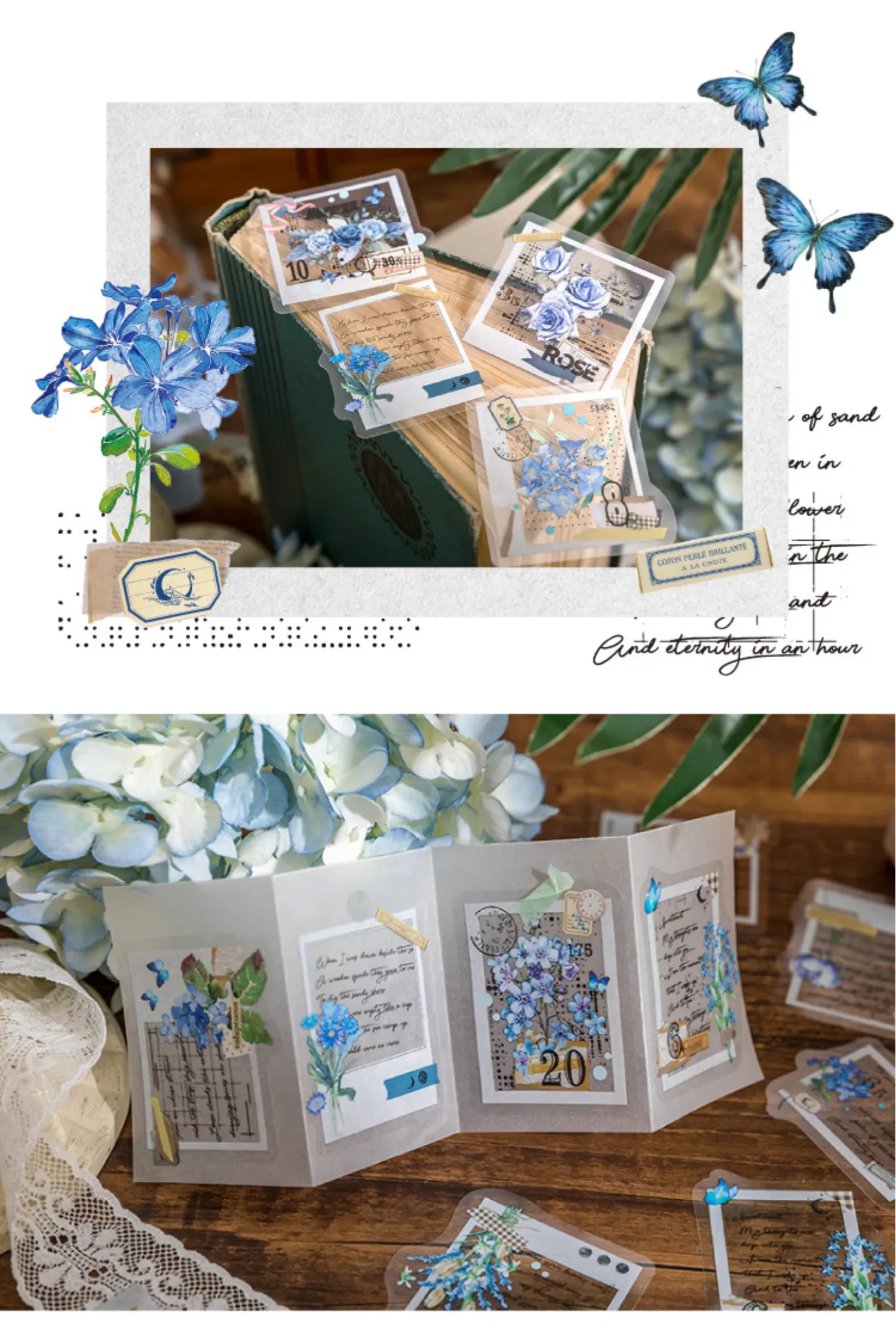 568429447934554112.png?x-oss-process=image/format,webp