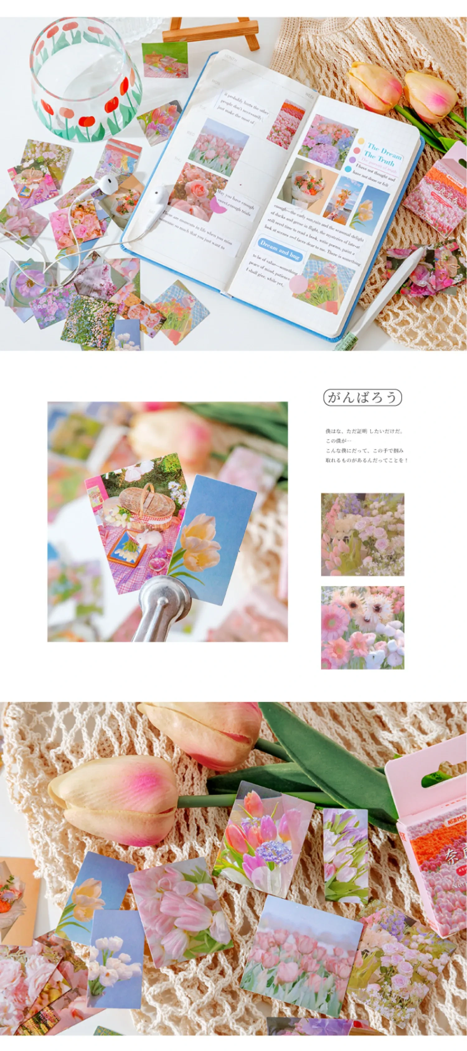 568482109505839104.png?x-oss-process=image/format,webp