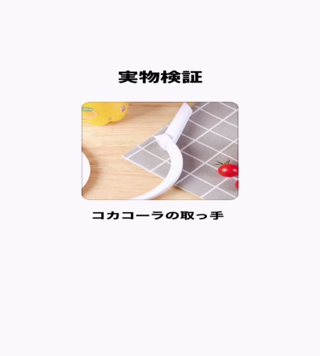実物検証