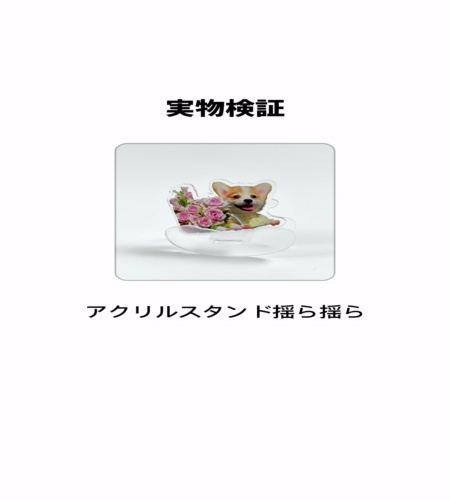 実物検証
