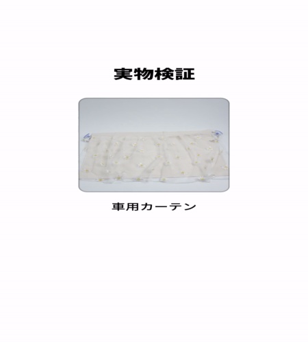 実物検証