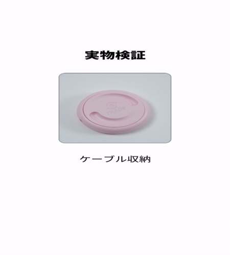実物検証