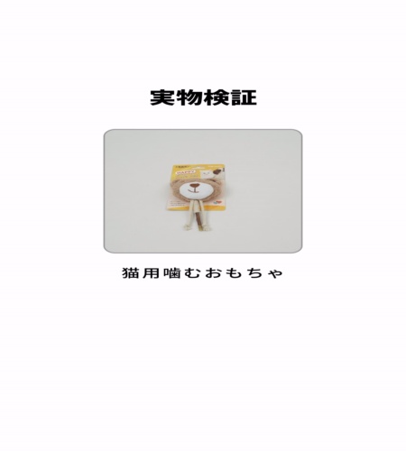 実物検証