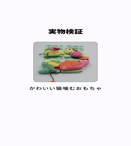 実物検証