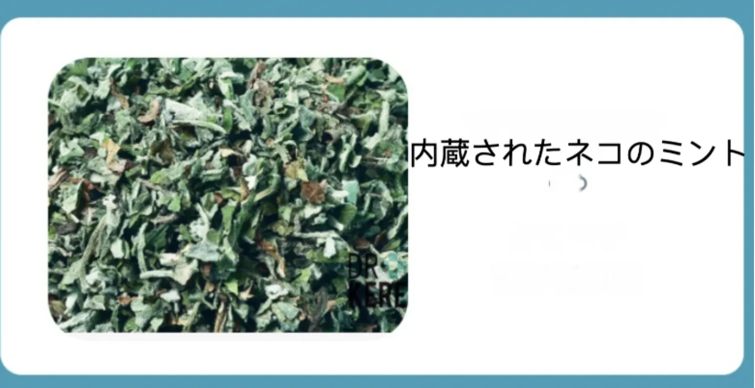 569650457971175424.png?x-oss-process=image/format,webp