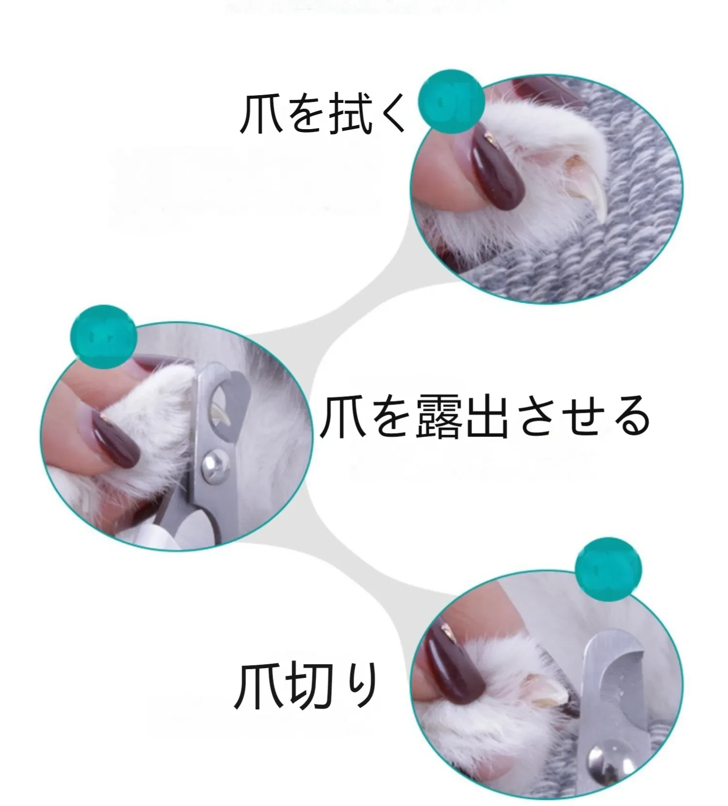 569688449150525440.png?x-oss-process=image/format,webp