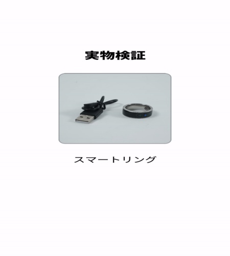 実物検証